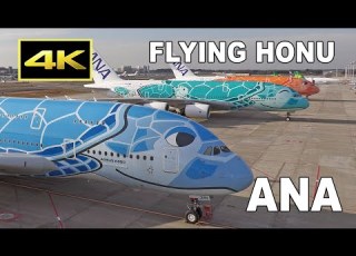  4K ANA Airbus A380 FLYING HONU X 3 Take Off Landing Close Up Cabin Cockpit 成田空港 下地島空港