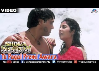 Tu Pagal Premi Awara Full Video Song Shola Aur Shabnam Govinda Divya Bharati Romantic Song