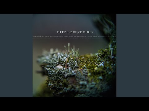 Thoughts Of The Night Forest Remastered 2021