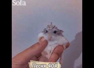  время и стекло песня 404 Speed Up