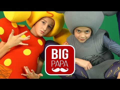 Big Papa Studio КУКУТИКИ На Стасю упал ШКАФ Блуперсы Смешные моменты из Студии Октябрь