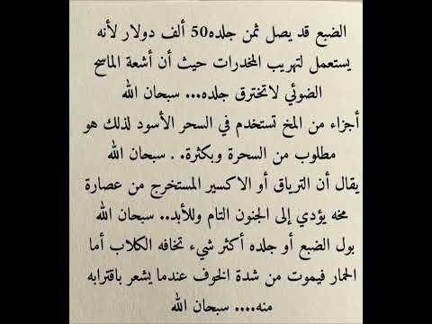 شاهدلماذا لا يتم دفن الضبع الا بوجودالشرطه ومحضرقضائي اشتركوا ياحلوين Trending