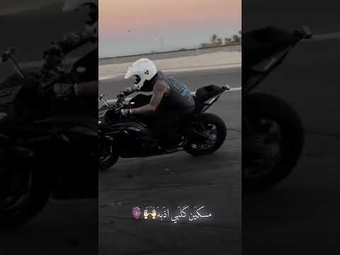 اشيل كلبي اذبه تعبني الله يتعبه تصاميم حب اغاني عراقيه تيك توك ستوريات انستا حالات واتساب