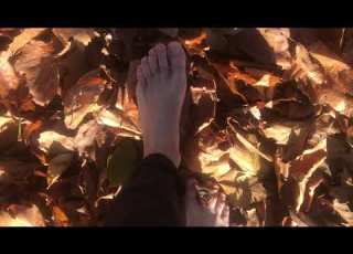  Male Feet Walking In The Park Barefoot In Public Crunching Leaves
