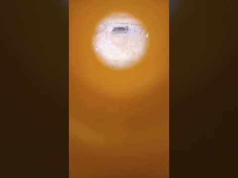 The Golden Shower Asmr Cool