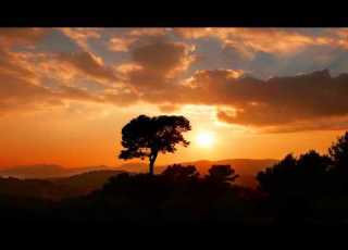 SIA BREATHE ME MYLO REMIX