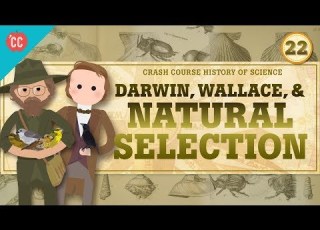 Darwin And Natural Selection Crash Course History Of Science 22