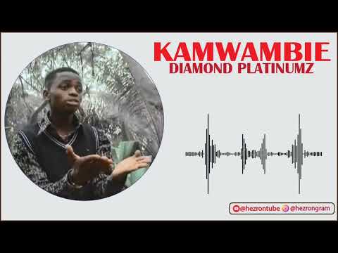 Diamond Platnumz Kamwambie Instrumental