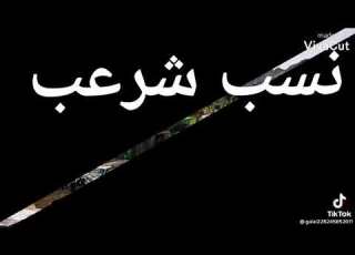 نسب شرعب