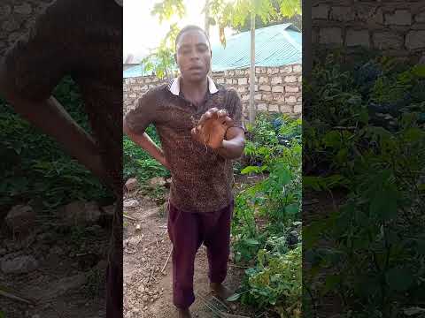 Maajabu Ya Mti Huu Wa Kuongeza Nguvu Za Kiume Na Kurefusha