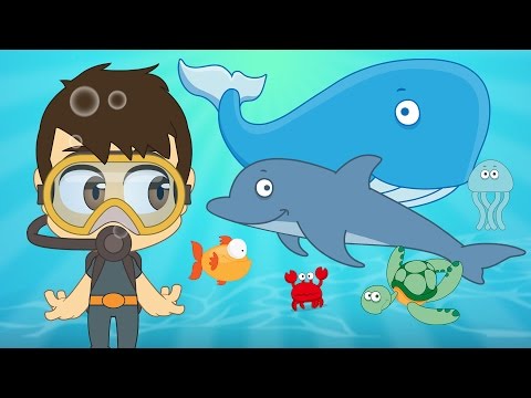 Aquatic Animals For Kids In Arabic الحيوانات للأطفال حيوانات البحر باللغة العربية للاطفال