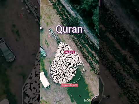 Bora Naam Rakna Gunah Hai Farmer Duet Answer Quran Hadith Mjkguru Quranhadith Nam Gali Bora Naam Rakna Gunah Hai Farmer Duet Answer Quran Hadith Mjkguru Quranhadith Nam Gali