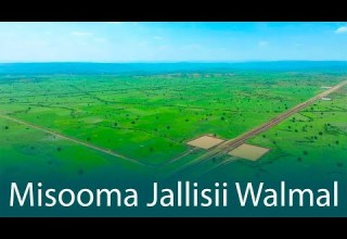 Godina Baaletti Kan Argamu Pirojektii Misooma Jallisii Walmal