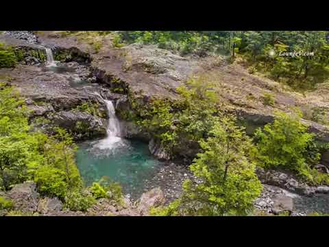 تلاوة من أواخر سورة الحشر للشيخ راغب مصطفى غلوش رحمه الله تعالى