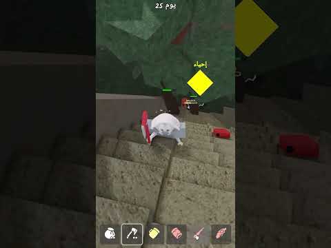 الاسطورة 305 ماب 99 ليلة في الغابة