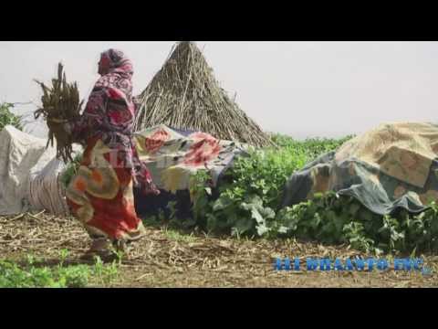 ALI DHAANTO ISTAR SOOMAAL TUBE VIDEO CUSUB VIDEO CUSUB DHAANTO INC