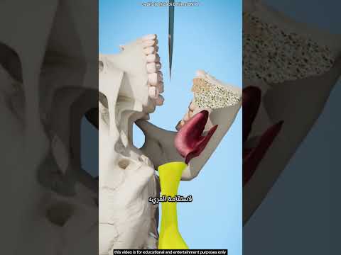 كيف يبتلع الساحر السيف دون أن ي صاب السر وراء الخدعة الخطيرة