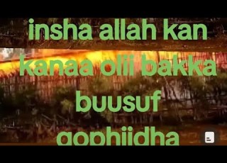 MATUHAA TUBE Insha Allah Kan Kanaa Olii Bakka Buusuf Qophiidha
