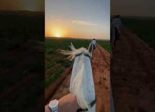 للغروب ط قلبي ذكريات