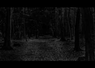 Dark Forest Scary Horror Intense Ambient Sound Music