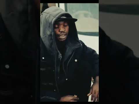 Shaulin Seneta Barz 120