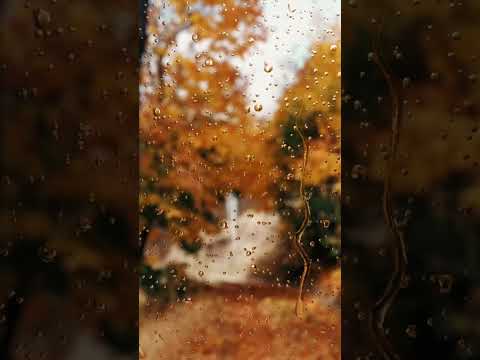 دعاء المطر مع قطرات المطر للمونتاج دعاء المطر مع قطرات المطر للمونتاج