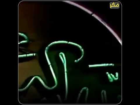 إن ضل قلبي فقلبي أنت تعرفه المبتهل نصر الدين طوبار