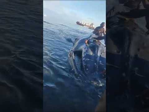 NYANGUMI ASAIDIWA BAADA YA KUKOSEA NJIA KISIWA CHA COMOROS