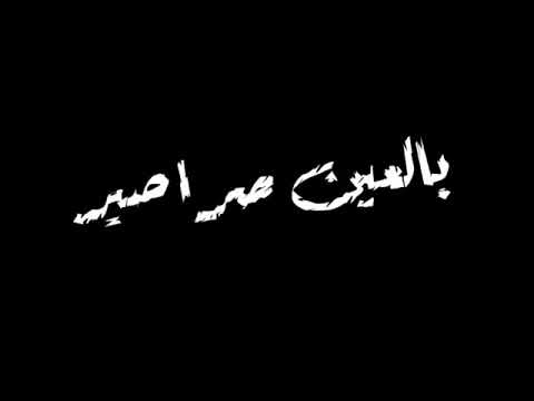 حالة واتس شكلكو شراشير بالعين صراصير حالات واتس تصميم شاشه سوداء