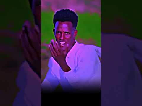 Dhaanto Cusub Abwaan Nuur Goosaar Somalitiktok Heesocusub Habesha Whowillbemylifepartnerta