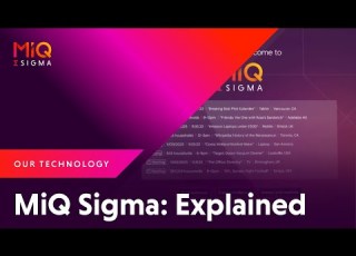 MiQ Sigma Explained