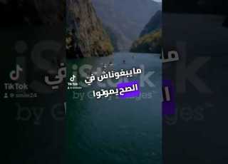 مايبغوناش في الصح يموتوا على اخبارنا