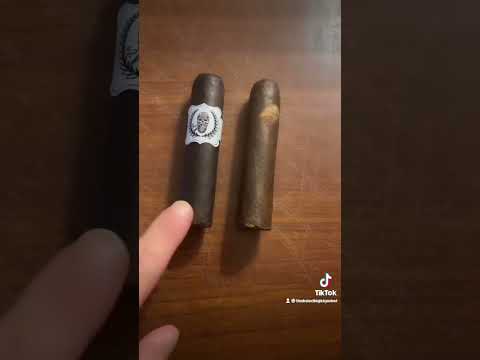 Cigar Vs Cigarette Education Shorts