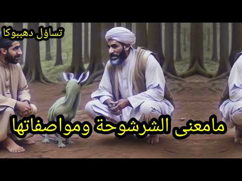 ما معنى شرشوحه ومواصفاتها