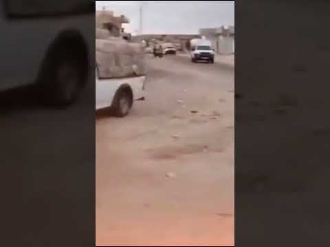 تبسة 12 تهريب ولقدام