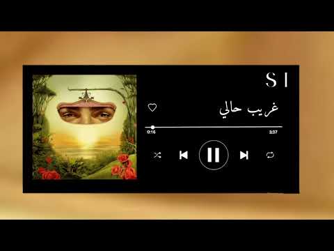 اغنية غريب حالي بدون موسيقى توليت