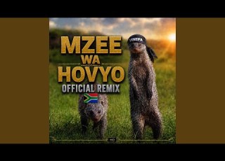 MZEE WA HOVYO REMX