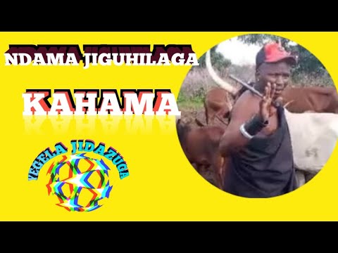 NDAMA JIGUSHILAGA KAHAMA PROD MBASHA STUDIO MSAMBAZAJI YEGELA JIDAZUGA 2026 NDAMA JIGUSHILAGA KAHAMA PROD MBASHA STUDIO MSAMBAZAJI YEGELA JIDAZUGA 2026