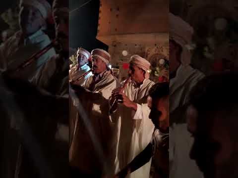 قصبة طراحي مع الحاج زريبة