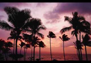 10hours Dulcinea Steve Adams Relaxing Music