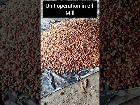 Unit Operation In Oil Mill