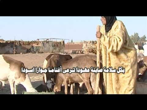 نجود عجب مدحة ميمونة السوداء