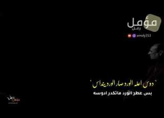 دوس اعله الورد الشاعر ناظم الحاشي شعر يجنن يفوتكم لاتنسون الاشتراك