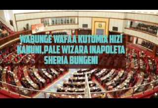 WABUNGE WAFAA KUTUMIA HIZI KANUNI PALE WIZARA INAPOLETA SHERIA BUNGENI Tulyfrance6774
