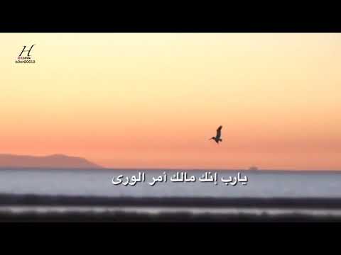 يارب إنك مالك أمر الورى