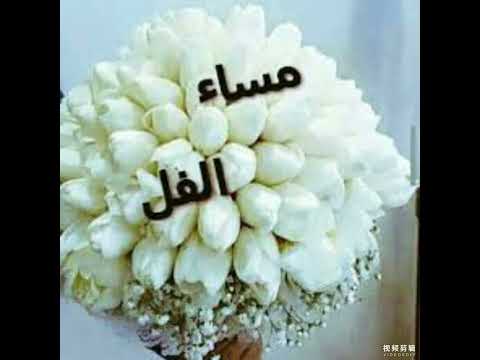 مساء الفل لاحلى ناس