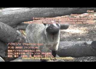  Anyamaru Tantei Kiruminzuu Zoo Animals