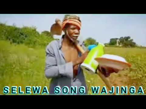 SELEWA KULIMI SONG WAJINGA WENZAKO OFFICIAL AUDIO MSAMBAZAJI NDATULU