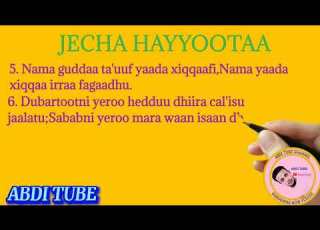  Jecha Hayyootaa