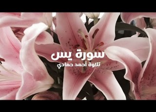 سورة يس كاملة تلاوة أحمد حمادي بدون مؤثرات